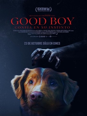 GOOD BOY: CONFÍA EN SU INSTINTO